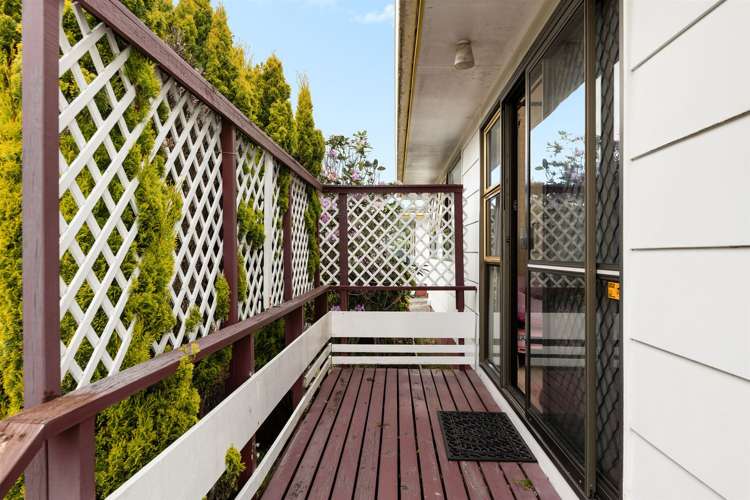 422 Ngatai Road Bellevue_9