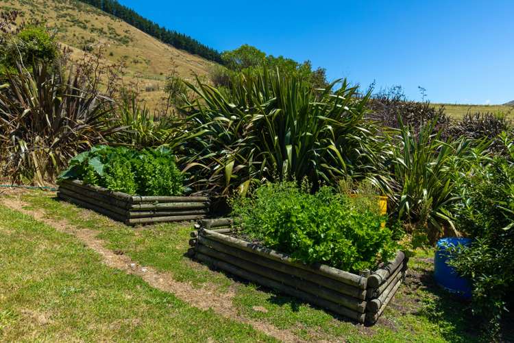 51 Bryants Road Rai Valley_28