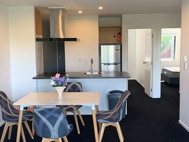 Large Grey Lynn 3-bed with excellent Mt Eden views