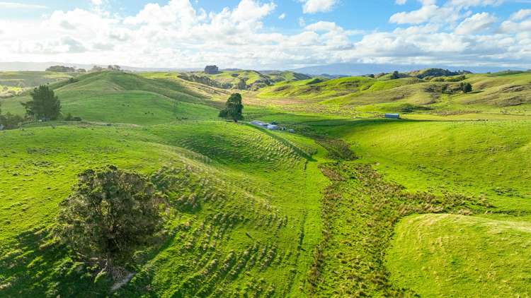 Kaitawa Road Pahiatua_12