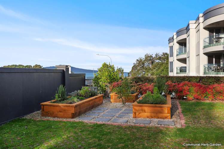 2C/171 Hurstmere Road Takapuna_19