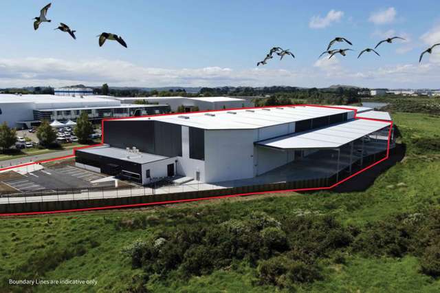 29 Sistema Way Mangere_1