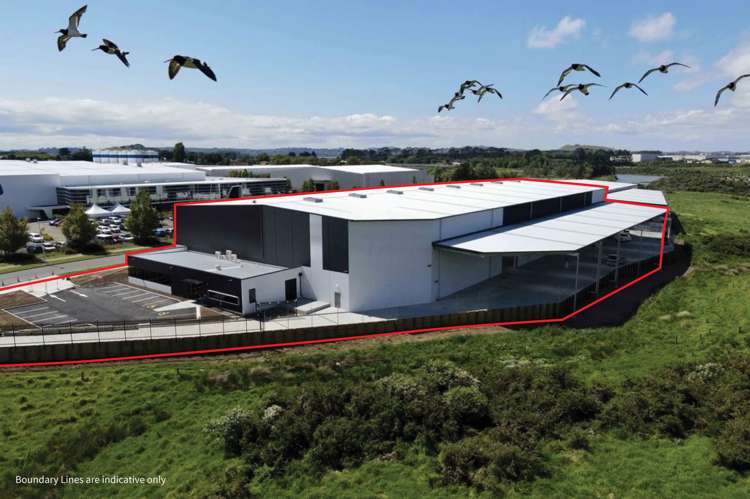 29 Sistema Way Mangere_1