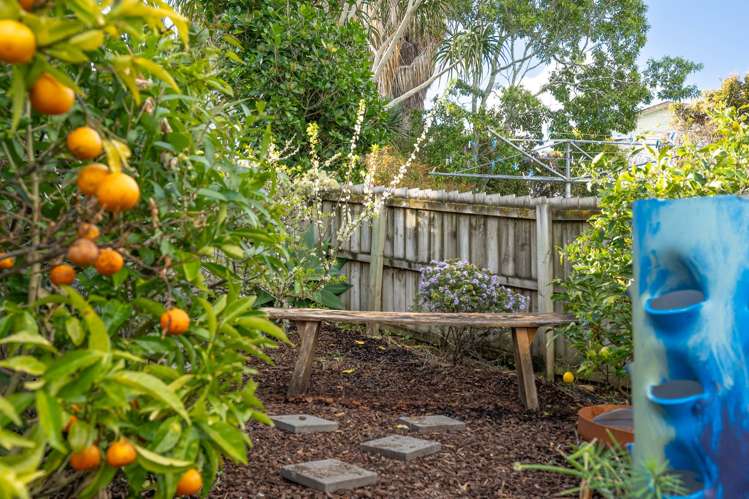 68B Sartors Avenue Browns Bay_8