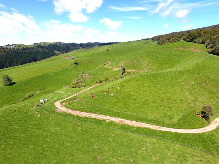 3/585 O'Shea Road Pirongia_19