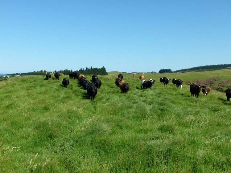 171 Prescott Road Ruakaka_6