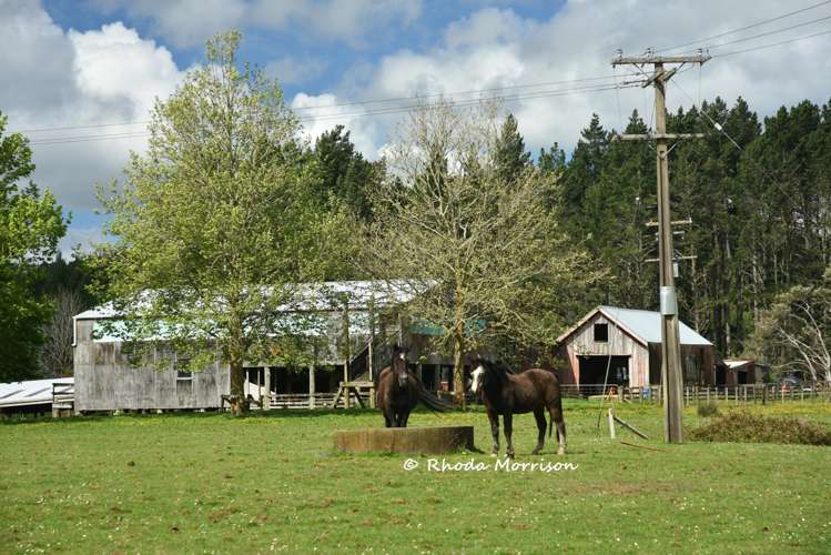 726 Paparoa Station Road Maungaturoto_82