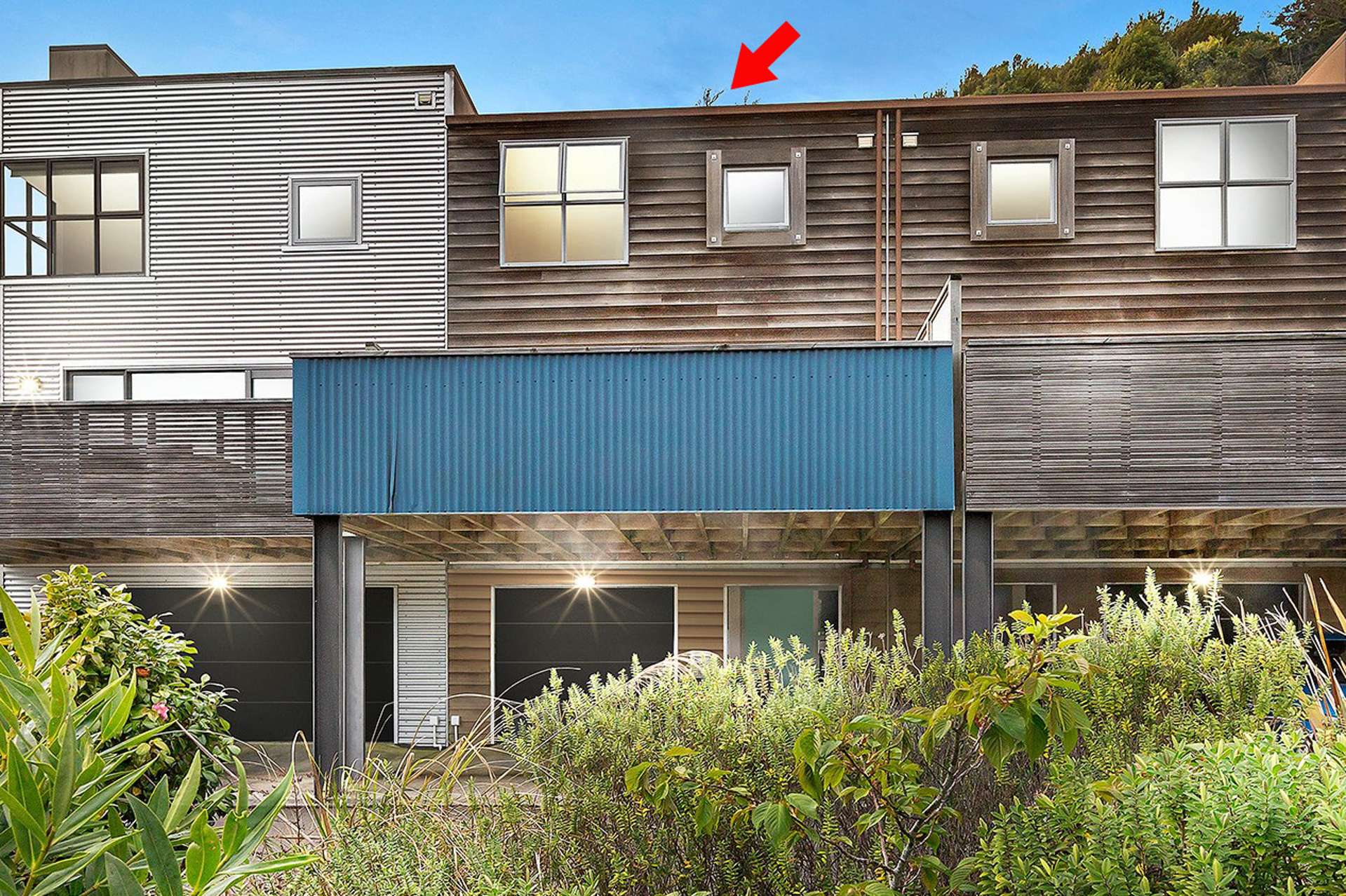 16 Saddleback Grove Karori_0