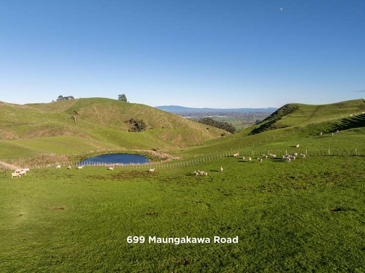 697 and 699 Maungakawa Road Cambridge_8