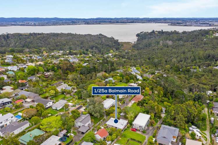 1/25a Balmain Road Birkenhead_22