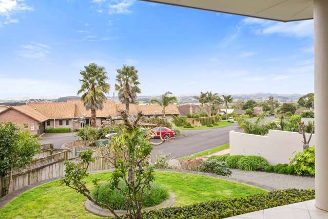 245 Wellington Street Pukekohe_2