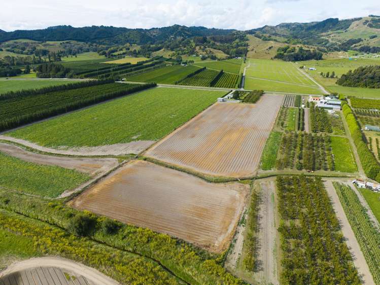 1084 Back Ormond Road Waerengaahika_31