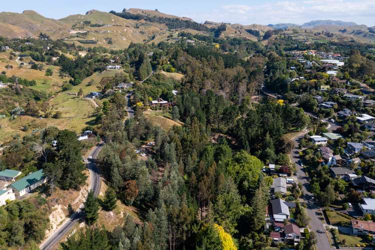 Lot 1/74 Te Mata Peak Road Havelock North_6