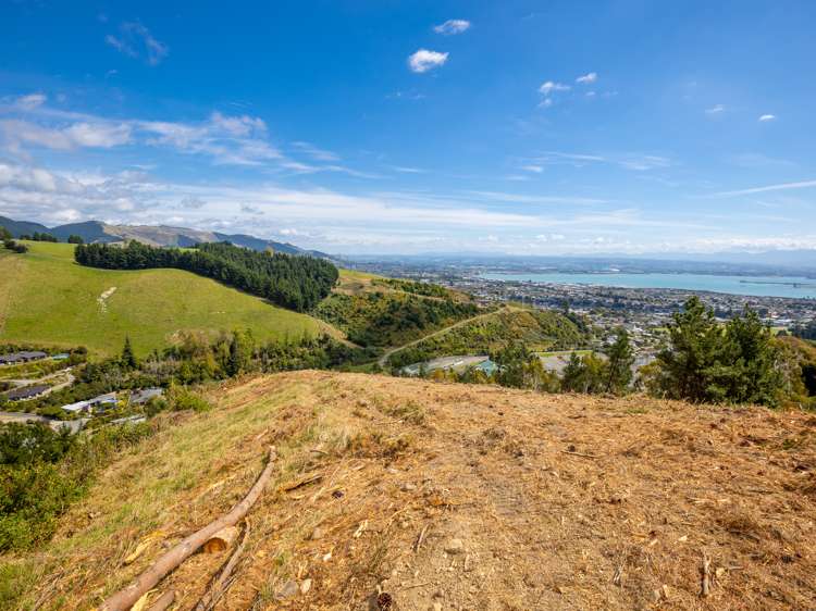 184 Panorama Drive Enner Glynn_8