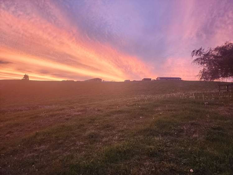 63 Owairaka Valley Road Parawera_10