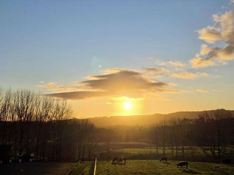 41 Mason Heights Warkworth_14