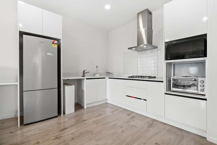 6 Swamp Kauri Grove_3