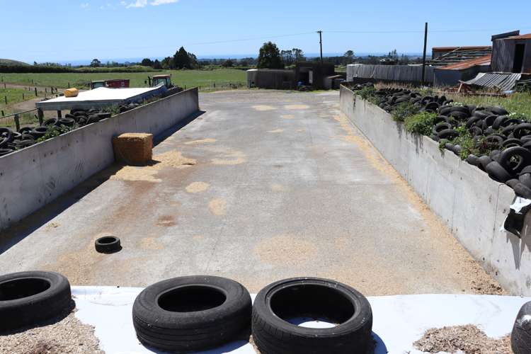 1996 Egmont Road Inglewood_14