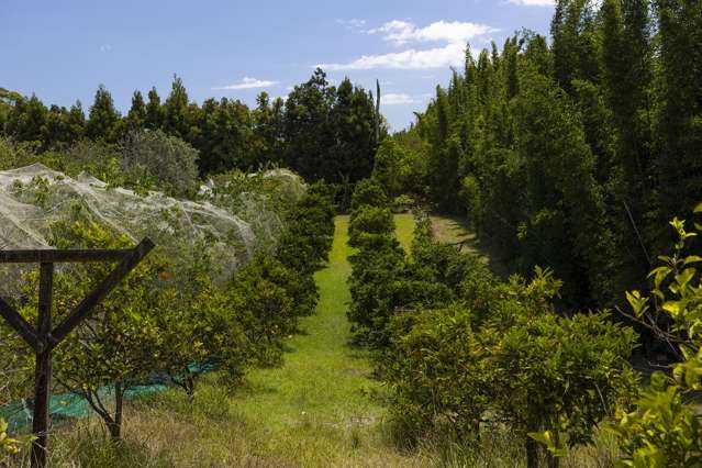 142 Takahe Road/ 2 Kaka St Ahipara_2