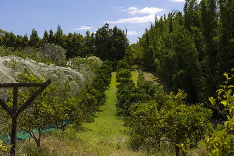 142 Takahe Road/ 2 Kaka St Ahipara_2