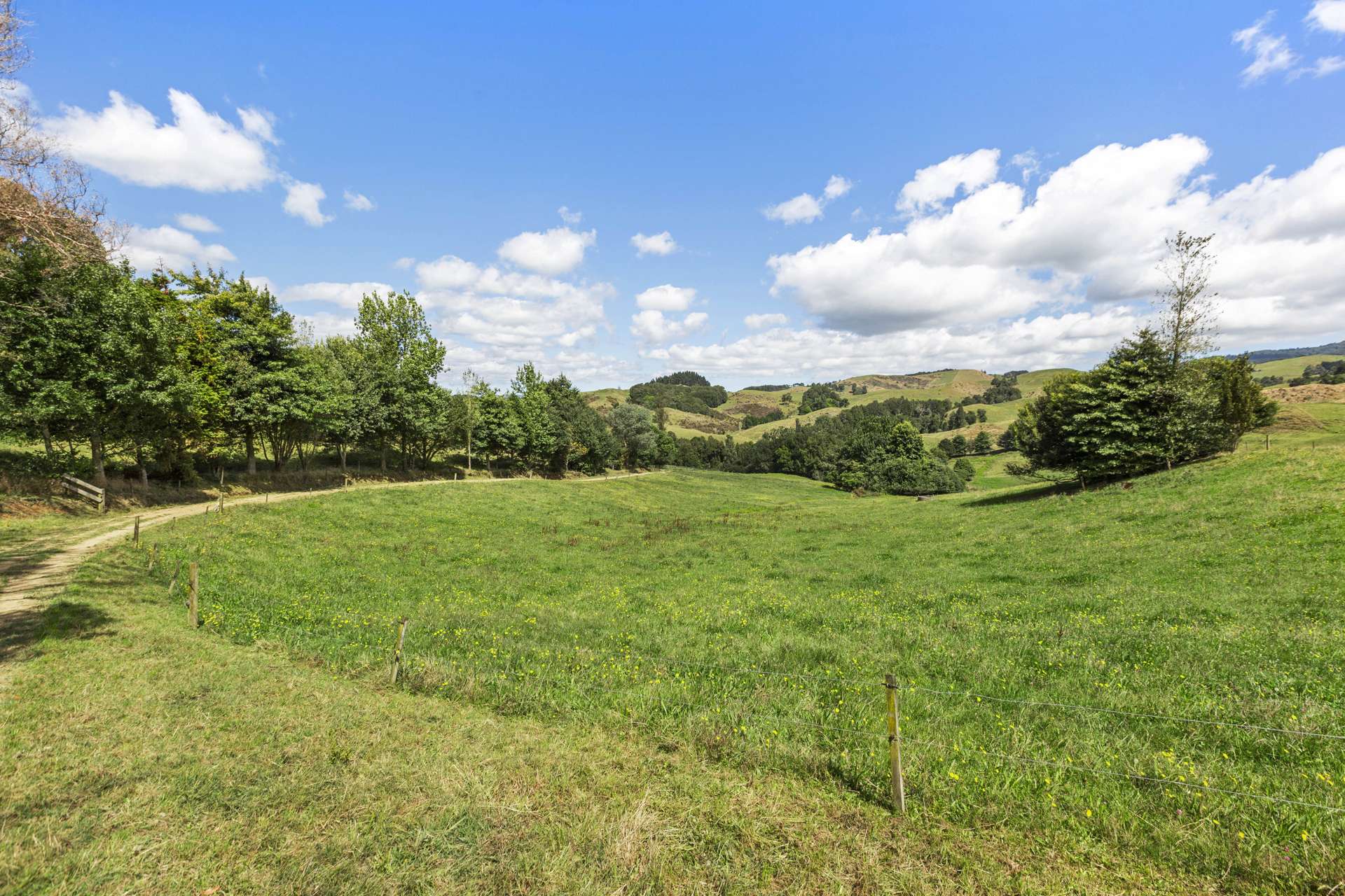 Te Tahi Road Puketotara_0