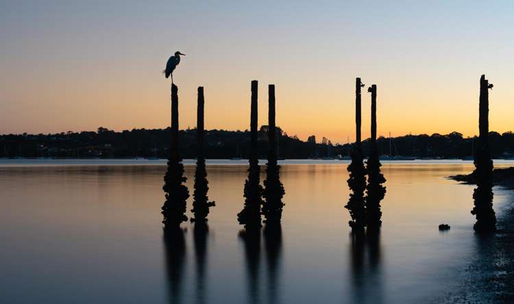 40 Rothschild Terrace Waiheke Island_33