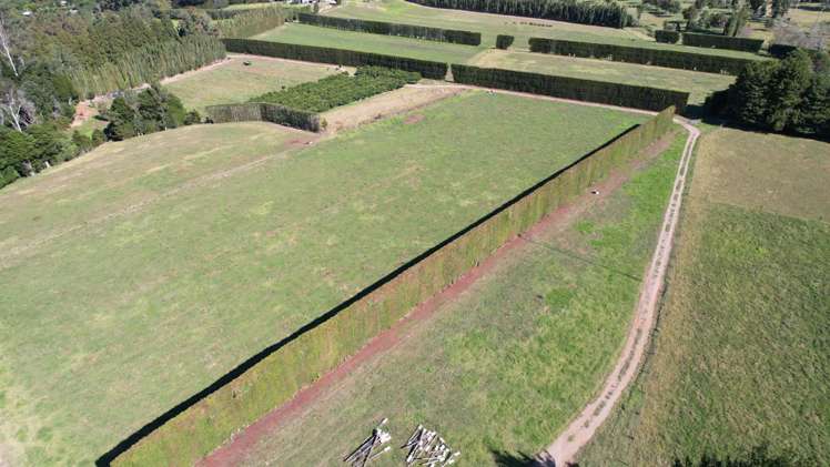 217 Waipapa West Road Kerikeri Surrounds_7