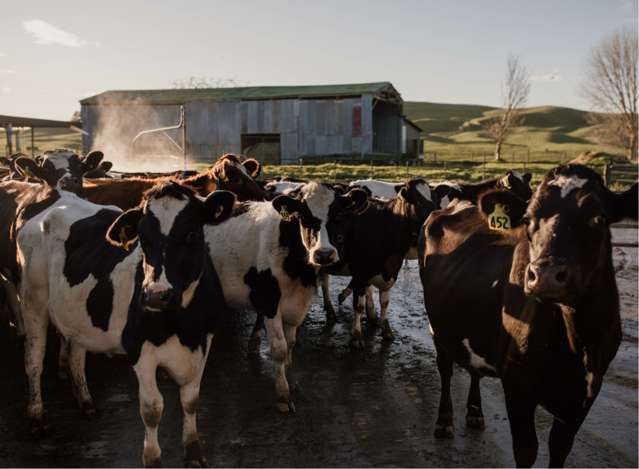 Address withheld Hamilton Central_1