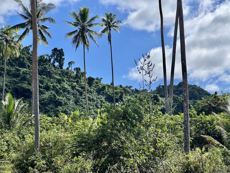 lot1,2,3,4 Belego Estate, Savusavu Vanua Levu_8