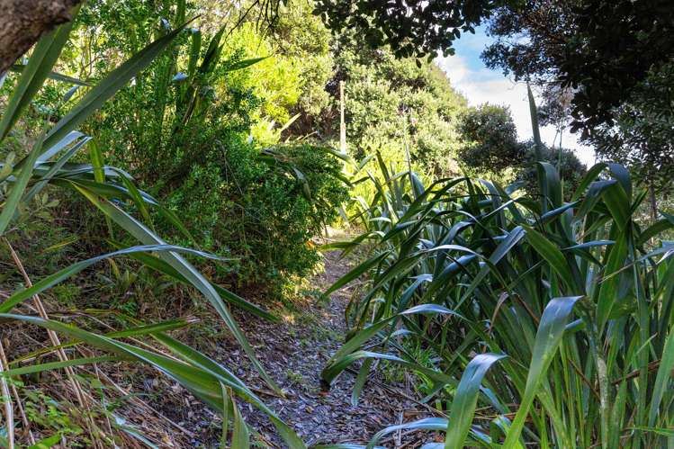 20 Cynthia Place Baylys Beach_18