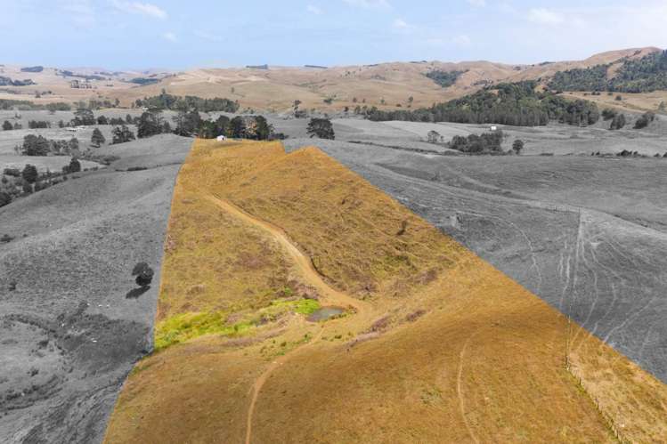 1149 Waikaretu Valley Road Waikaretu_9