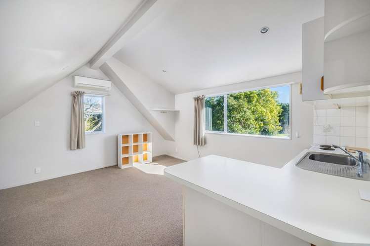 37 Ellerton Road Mount Eden_28