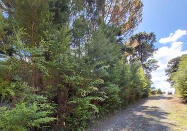 10 Wilson Avenue_4