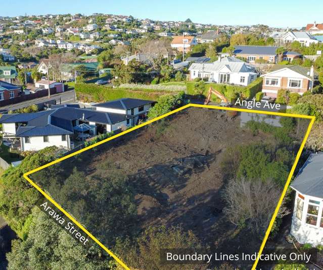 43 Arawa Street Tainui_1