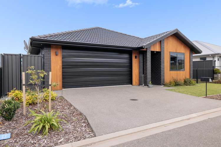 2b Kauri Lane Omokoroa_2