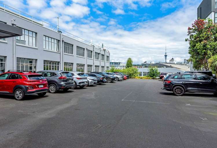 24 Balfour Road Parnell_9