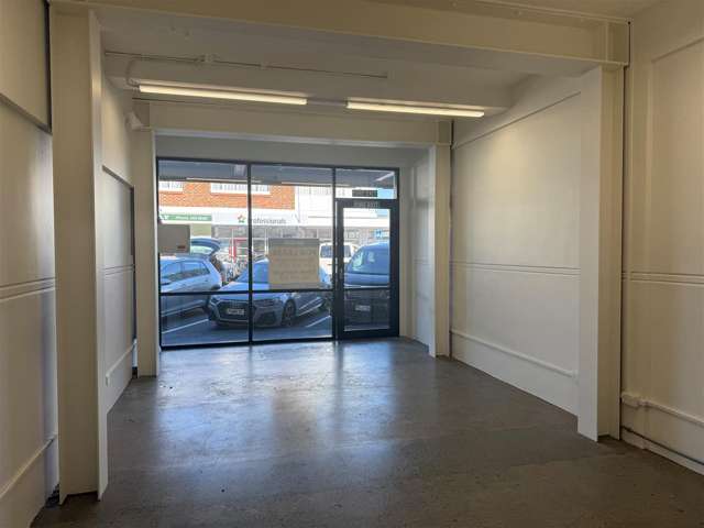 22 Rimu Street Eastbourne_1