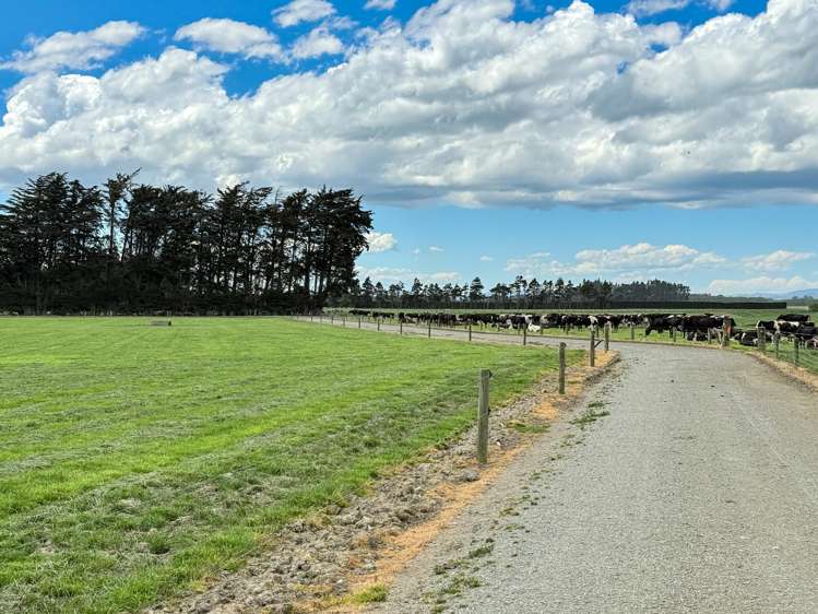 296 Oporo Flat Road Oporo_9