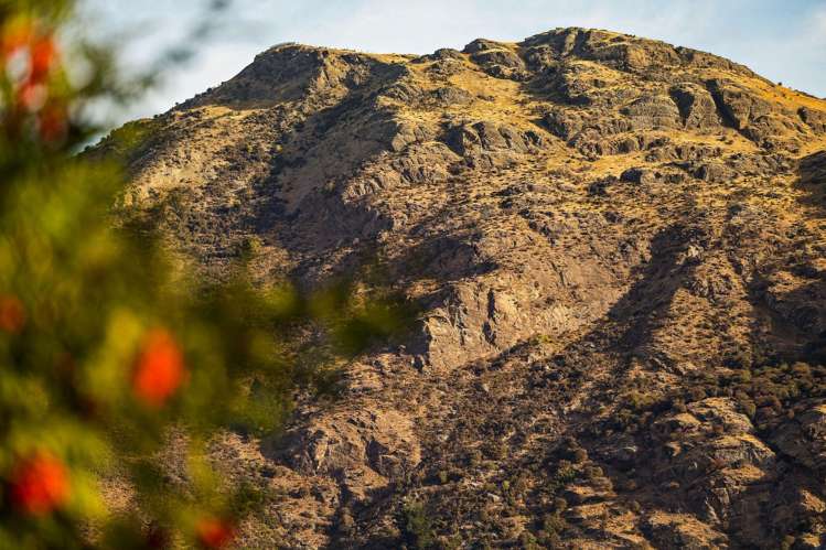 17 Mcbride Street Frankton_48