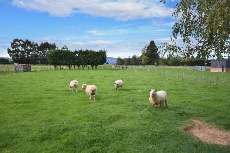 192 Riccarton Road West Mosgiel_17