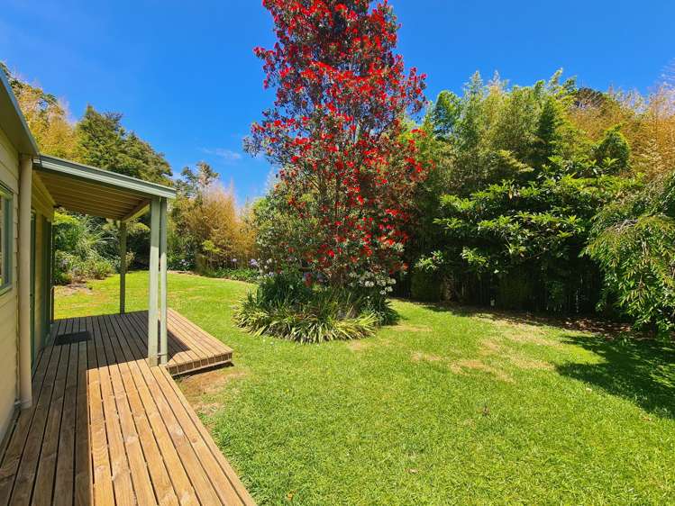 755 Driving Creek Road Coromandel_15