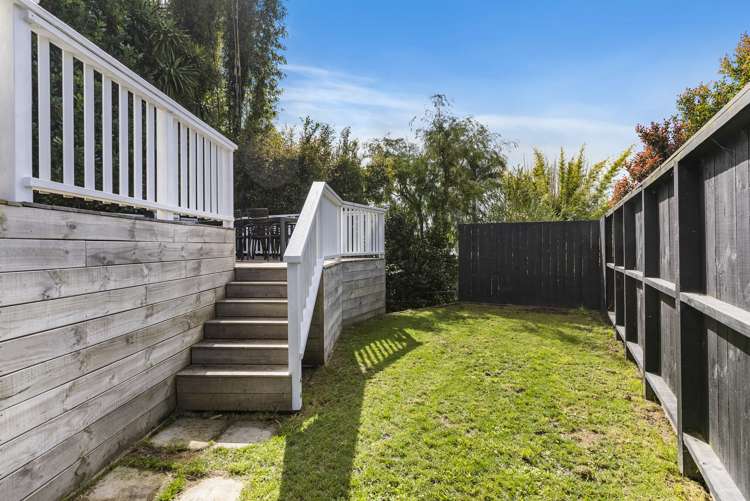 41b Springfield Road Morningside_15