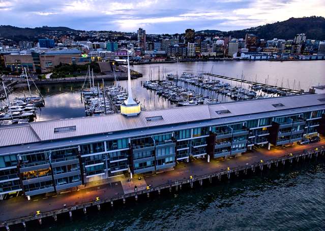 2b/4 Clyde Quay Wharf Te Aro_1