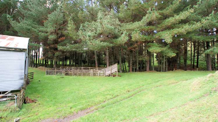 4501 State Highway 4 Waimiha-Ongarue_15