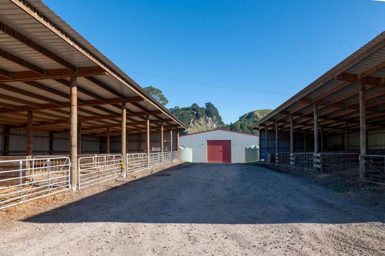 471 Poutakataka Road Ngakuru_2