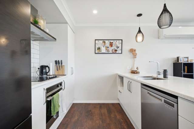 78 Hinemoa Street Levin_2