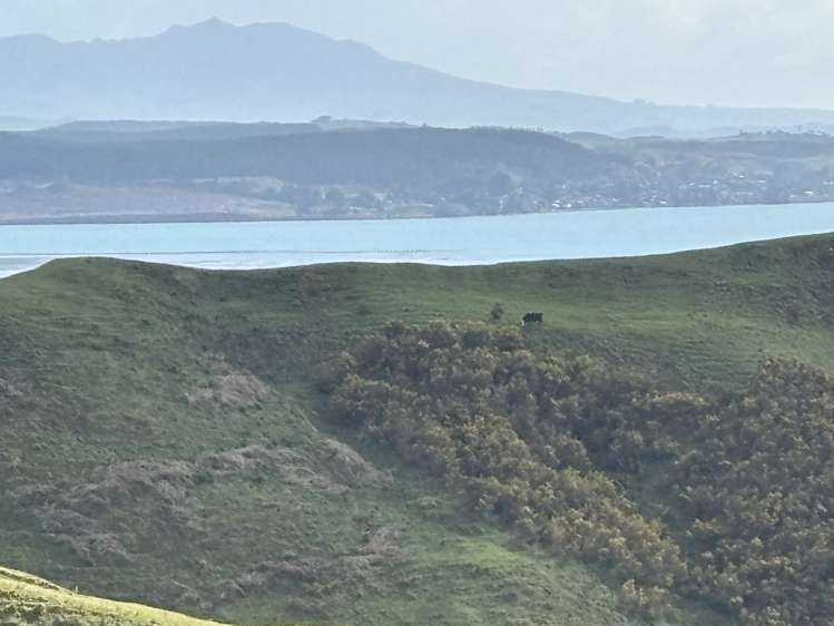 965 Te Waitere Road Waitomo_16