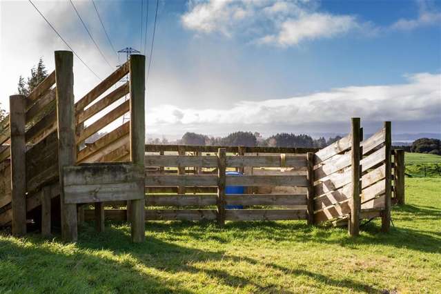 432a Dansey Road Ngongotaha Valley_2