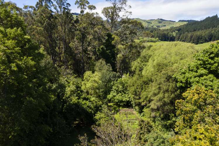 26 Hill Road Whataupoko_19