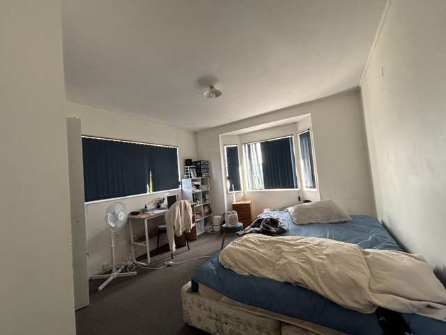 172a White Swan Road Mt Roskill_3